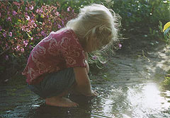 in de voortuin