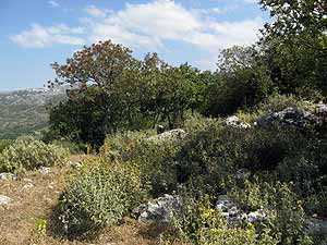 ruines bij Axos