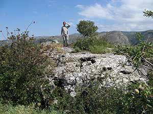 Nico: ruines?