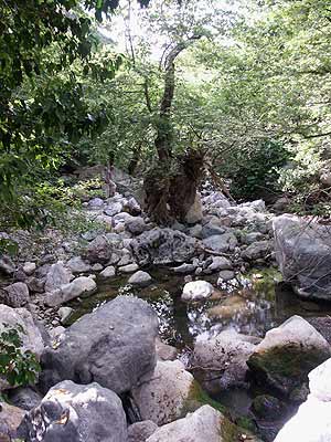 bij de rivier