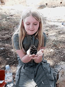Eva en de denneappel (in 3 delen)