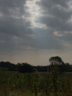 Stour Valley, als een live schilderij van Constable