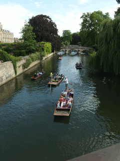 Cambridge cambridge punters