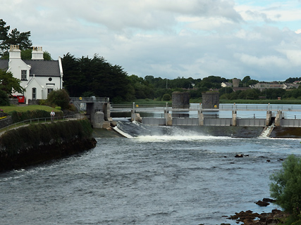 de zalmtrap in Galway de zalmtrap in Galway