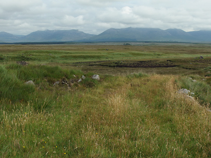 veenlandschap, Connemara veenlandschap, Connemara