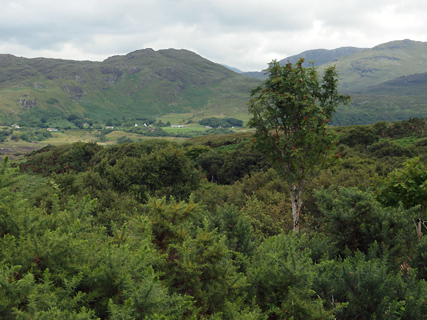 in het Connemara National Park in het Connemara National Park