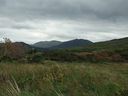 Connemara NP veen en heide Connemara NP veen en heide