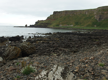 Giant Causeway Giant Causeway