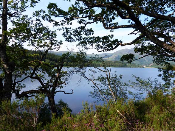 Loch Venagar, onderweg naarAberfoyle Loch Venagar, onderweg naarAberfoyle