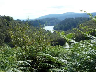 het uitzicht vanaf de 'Duke's Pass', vlak voor Aberfoyle het uitzicht vanaf de 'Duke's Pass', vlak voor Aberfoyle