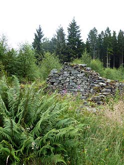 Sallochy ruïnes bij Loch Lomond Sallochy ruïnes bij Loch Lomond