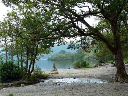 wandeling bij Loch lomond wandeling bij Loch lomond