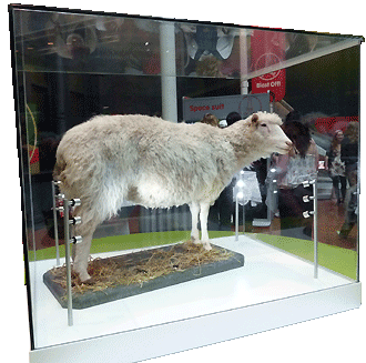 Dolly, National Museum van Scotland, Edinburgh Dolly, National Museum van Scotland, Edinburgh