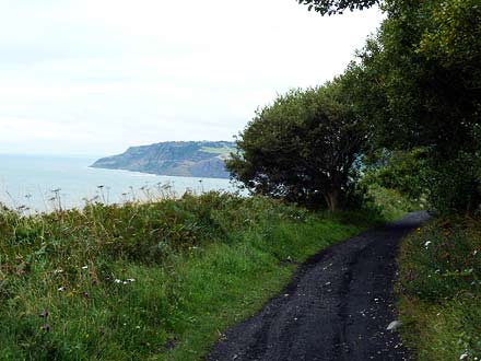 terug naar Robin Hoods Bay terug naar Robin Hoods Bay