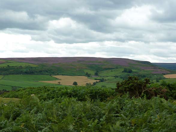 op de North York Moors op de North York Moors