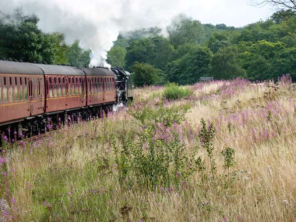 treinreis Pickering Yorkshire treinreis Pickering Yorkshire