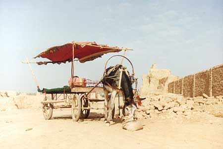 ezeltje bij gaochang